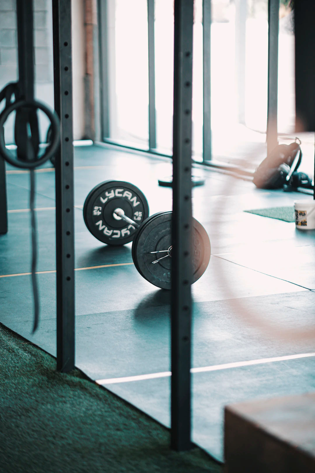 The Impact of Gym Equipment on Your Fitness Journey