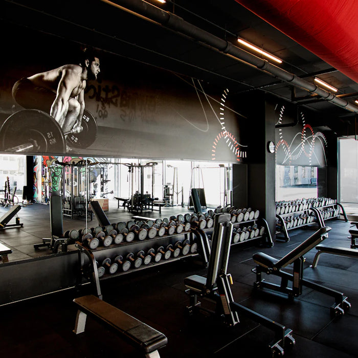 The Ultimate Guide to Choosing Home Gym Equipment