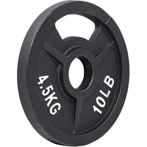 2-Inch Olympic and 1-Inch Standard Cast Iron Weight Plate for Strength Training & Weightlifting, Multiple Weights Available