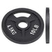 2-Inch Olympic and 1-Inch Standard Cast Iron Weight Plate for Strength Training & Weightlifting, Multiple Weights Available