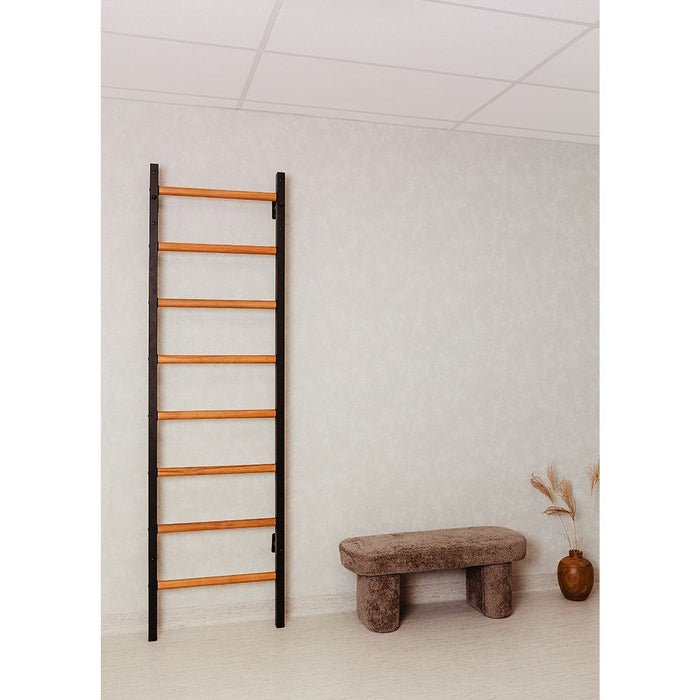 BenchK Series 2 200 Wall Bars For Home Gym Equipment
