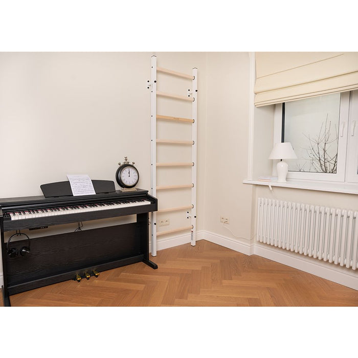 BenchK Series 2 200 Wall Bars For Home Gym Equipment