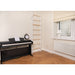 BenchK Series 2 200 Wall Bars For Home Gym Equipment