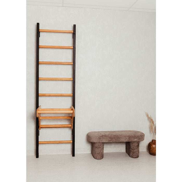 BenchK Series 2 211 Wallbars For Home Gym Equipment
