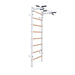BenchK Series 2 221 Wallbars For Home Gym Equipment