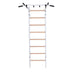 BenchK Series 2 221 Wallbars For Home Gym Equipment