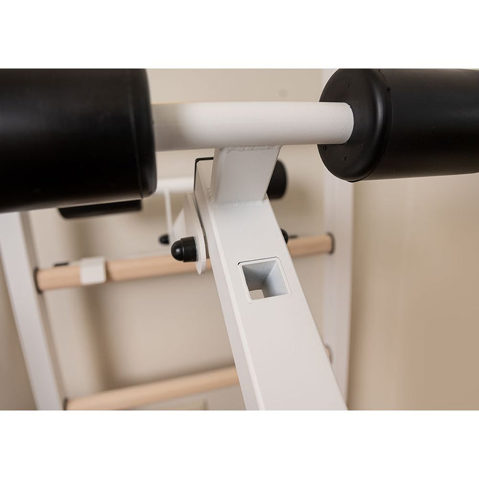 BenchK Series 2 233 Wall Bars for Home Gym and Personal Studio