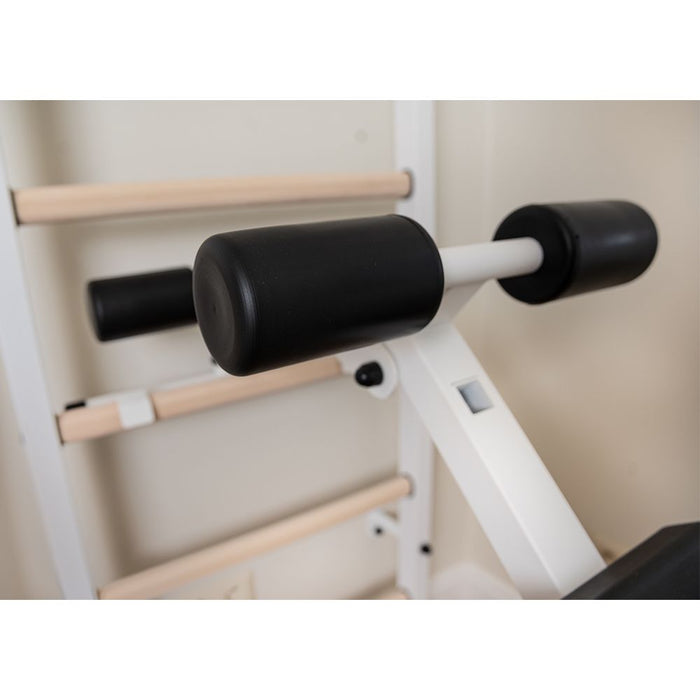 BenchK Series 2 233 Wall Bars for Home Gym and Personal Studio