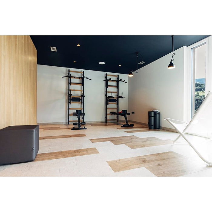 BenchK Series 7 733 Luxury Wall Bar for Home Gym and Personal Studio