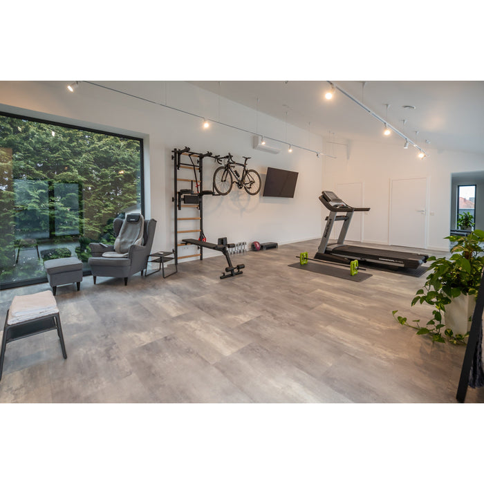 BenchK Series 7 733 Luxury Wall Bar for Home Gym and Personal Studio