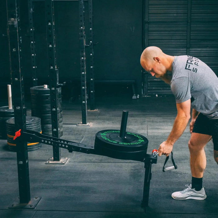 Fringe Sport Mammoth Belt Squat (With Free Belt) Home Gym Equipment