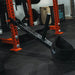 Fringe Sport Mammoth Belt Squat (With Free Belt) Home Gym Equipment