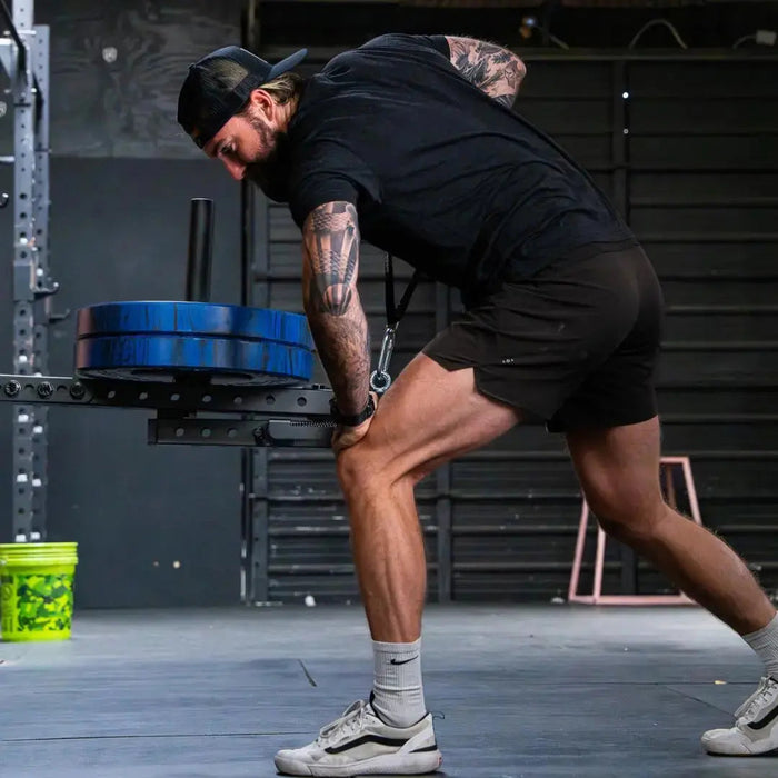 Fringe Sport Mammoth Belt Squat (With Free Belt) Home Gym Equipment