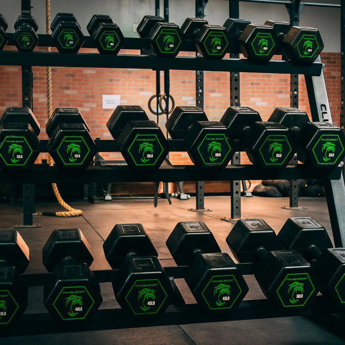 Fringe Sport Silverback Rubber Coated Dumbbells