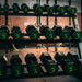 Fringe Sport Silverback Rubber Coated Dumbbells