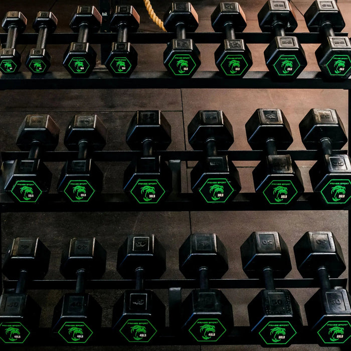 Fringe Sport Silverback Rubber Coated Dumbbells