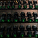 Fringe Sport Silverback Rubber Coated Dumbbells