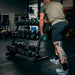 Fringe Sport Silverback Rubber Coated Dumbbells