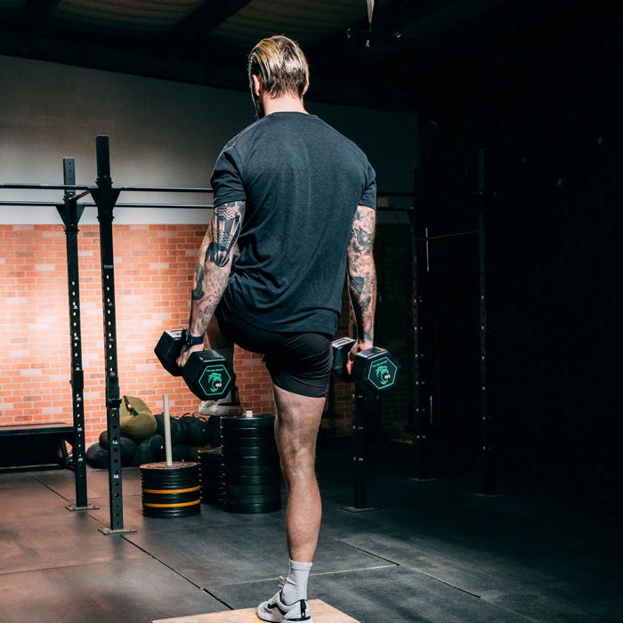 Fringe Sport Silverback Rubber Coated Dumbbells