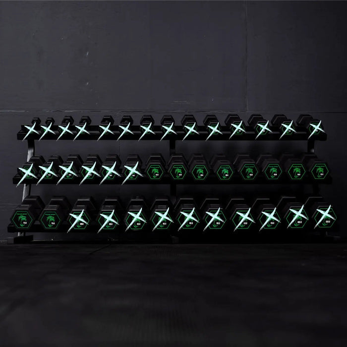 Fringe Sport Silverback Rubber Coated Dumbbells