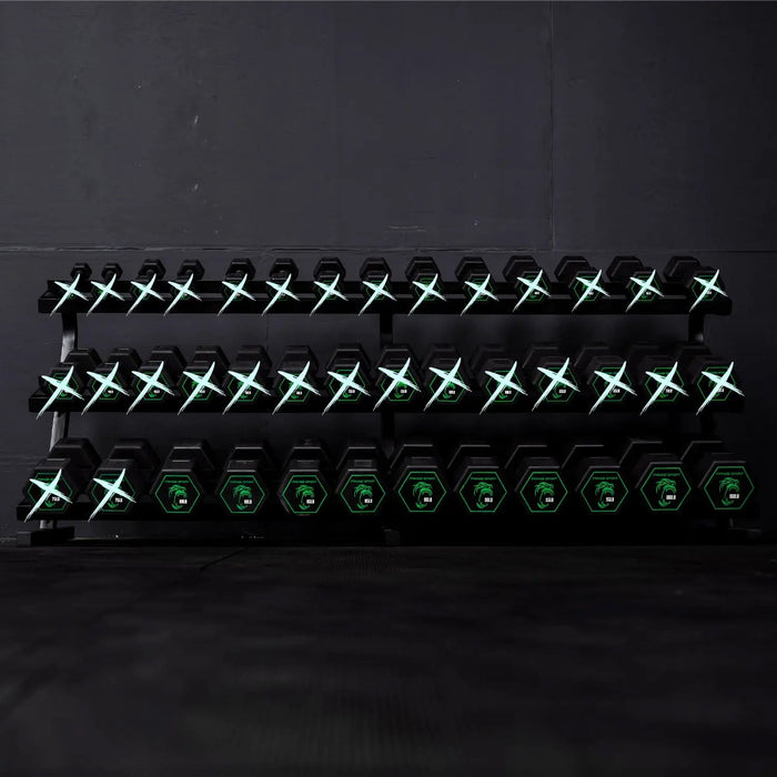 Fringe Sport Silverback Rubber Coated Dumbbells