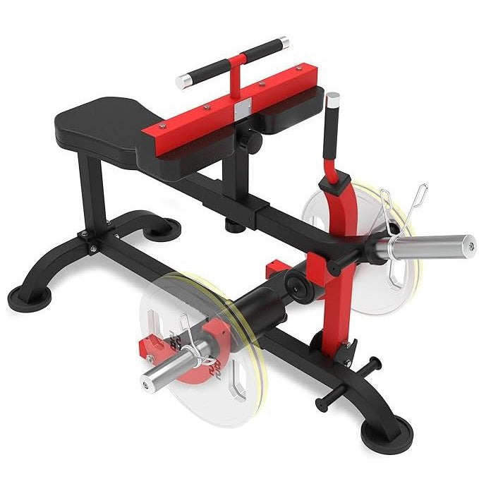 Seated Calf Raise Machine for Home Gym Calf Workout Leg Training and Exercise
